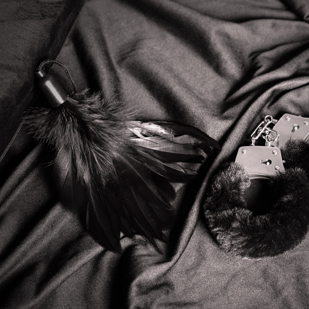 SHOTS OUCH! Small Feather Tickler