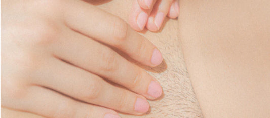 Cliteracy: Understanding Your Body for a More Fulfilling Sex Life