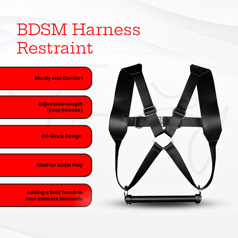 SHOTS Ouch! BSDM Harness Restraint - Black