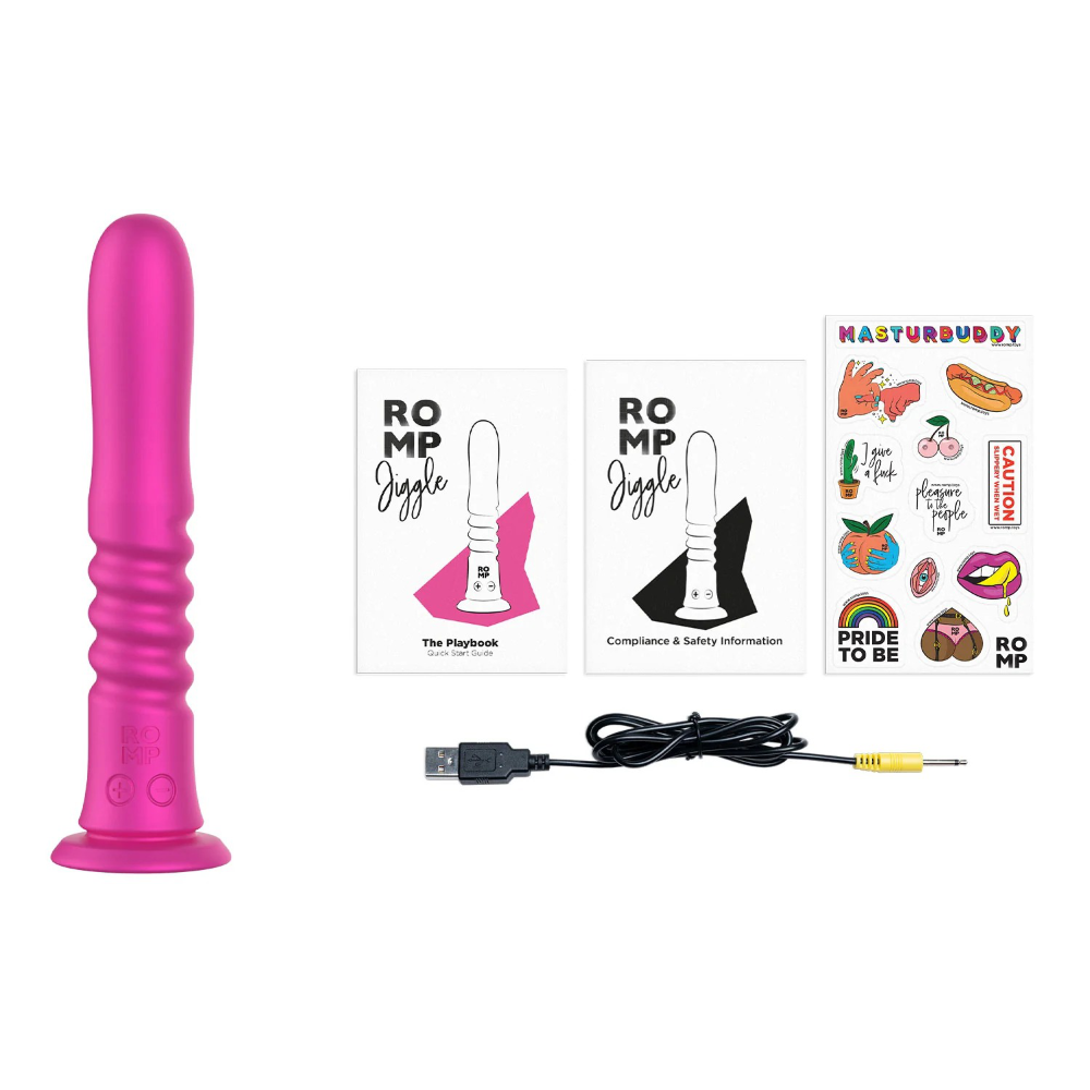 Complete set including dildo, charging cable, and included accessories