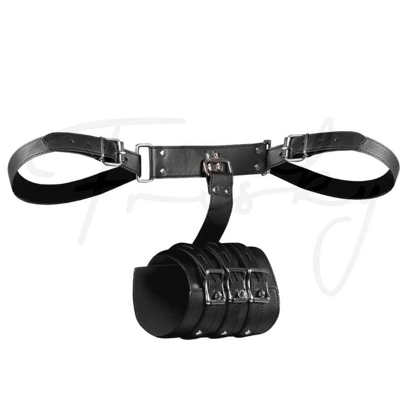 SHOTS Ouch! Complete Arm Restraints