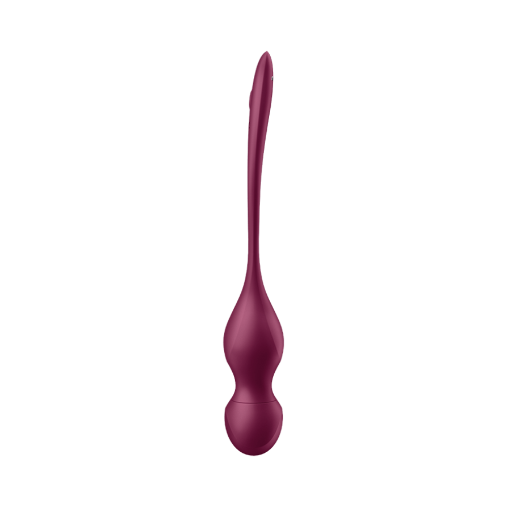 Satisfyer - Love Birds Vary Connect App